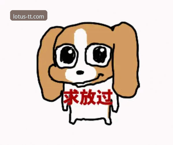 深度揭秘：天天娱乐购彩大厅官方通道背后的安全逻辑与2026新版实战指南